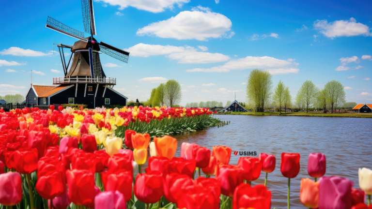 The Netherlands Travel Hacks: Explore like a Local